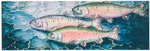 Trout by Sharon Housen - 2025